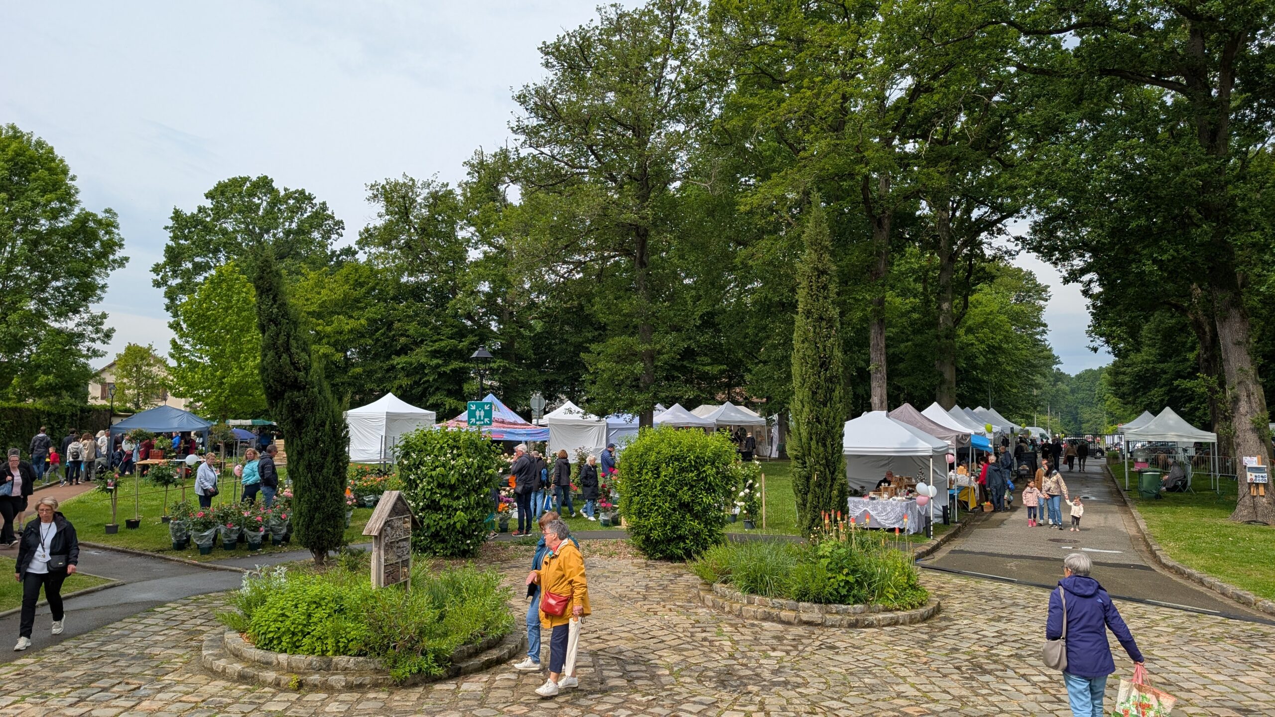 PXL_20260510_092048944 (1)